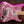 Fender Made in Japan Limited Stratocaster Pink Paisley