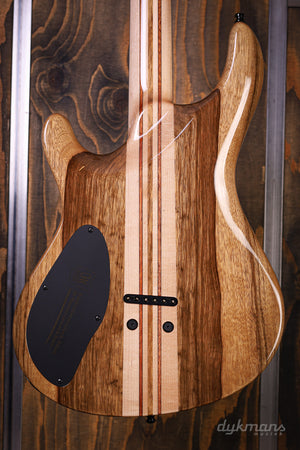 Mayones Regius Core 6 Galaxy Eye Black Gloss