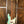 Sandberg California TT Surf Green Hardcore Aged