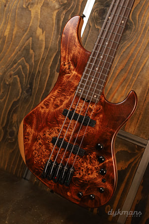 Ibanez MDM1605 Natural Mocha Low Gloss