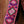 Holy Cow Custom India Lotus White ink