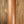 Novo Serus J Vandalism Yellow over '64 3-Tone Burst Dealer Limited