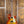 Epiphone 1959 Les Paul Standard Reissue Golden Poppy Burst