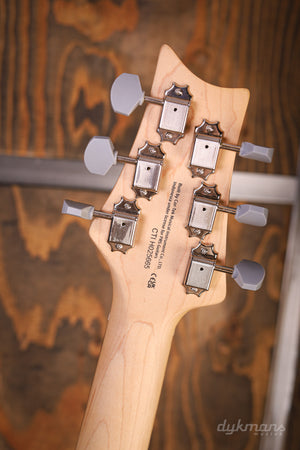 PRS SE Silver Sky Laurel Green