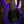 Music Man Darkray Plasma Purple