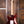 Fender Standard Stratocaster HSS Candy Cola