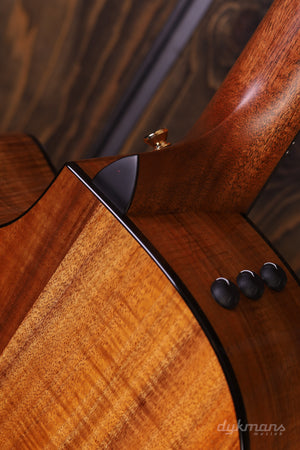 Taylor 50th Anniversary 924ce Koa + Approx. 74 Amplifier Set