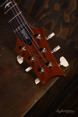 PRS S2 Special 22