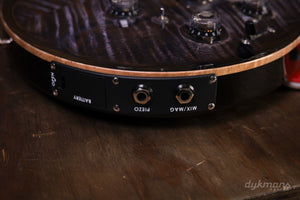 PRS Custom 24 Piezo