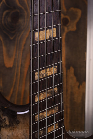 Dingwall Custom Shop Z3X-5 Buckeye Burl Natural to Black Burst
