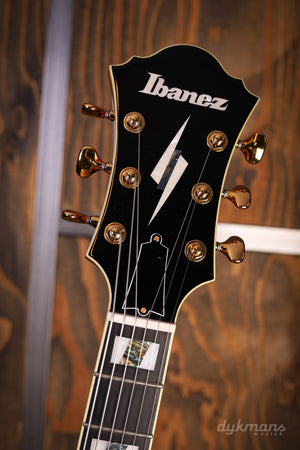 Ibanez PM200 Pat Metheny