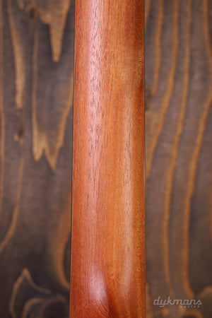 Taylor 212ce-N Plus Indian Rosewood