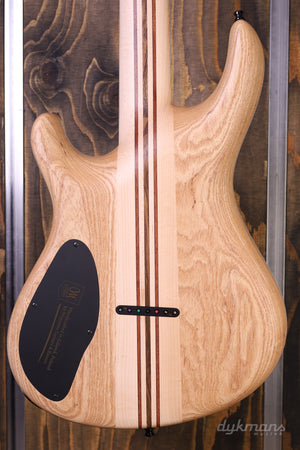 Mayone's Regius Gothic 7