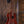 Kohala AK-C Akamai Concert Ukulele