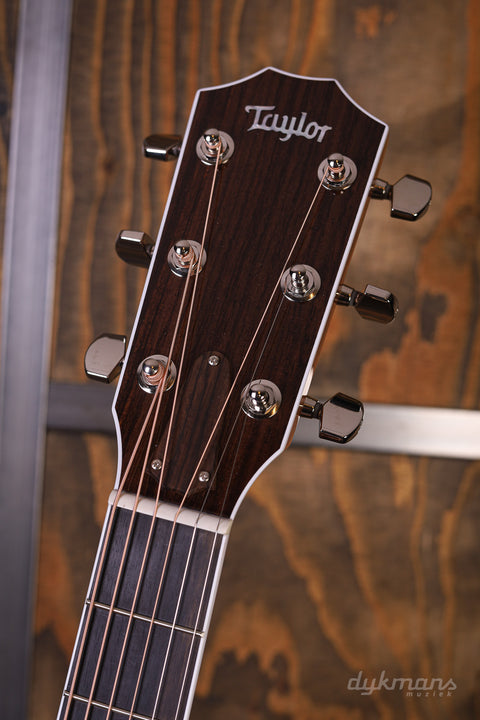 Taylor Legacy Series 815e