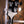 Rickenbacker 4003 Jetglo