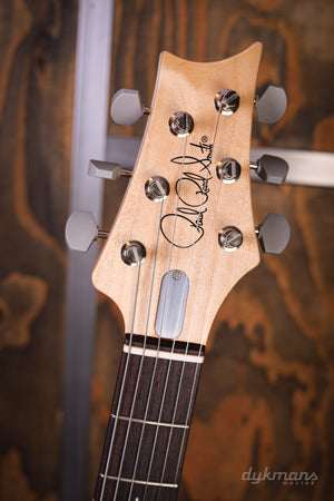 PRS Silver Sky Satin Black Plum