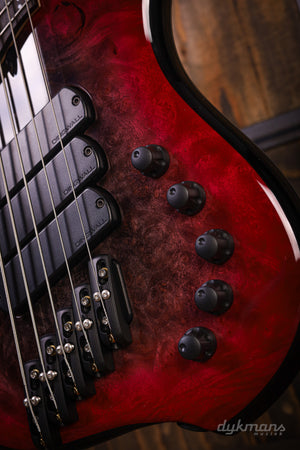 Dingwall Custom Shop Z3X-5 Buckeye Burl Black to Pink Reverse Burst