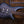 Ibanez SR500NMAM