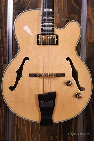 Ibanez PM200 Pat Metheny