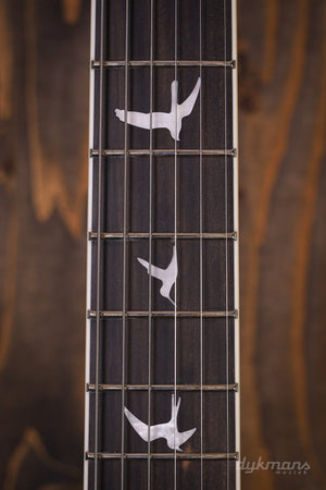 PRS SE Hollowbody Standard Dog Hair
