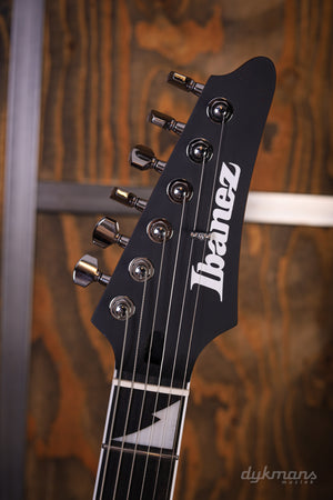 Ibanez BER10 Bernth Signature