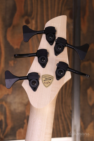 Dingwall Custom Shop ABZ 5 string Faded Blackburst NKF