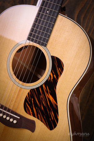 Taylor Gold Label 517e