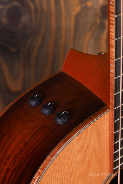 Taylor Custom GA LTD Cocobolo