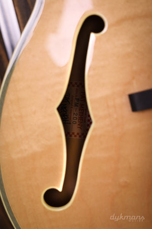 Ibanez PM200 Pat Metheny