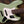 Fender Player II Jazz Bass Birch Green