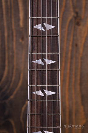 Epiphone DG-335 Dave Grohl Signature