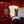Fender Masterbuilt Telecaster Tortoise Dennis Galuszka 1999