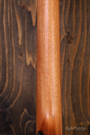 Taylor GS mini-e Special Edition Paisley Burst