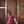 PRS Custom 24-08 Wood Library Pomegranate