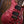 PRS Custom 24-08 Wood Library Pomegranate