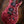 PRS Custom 24-08 Wood Library Pomegranate