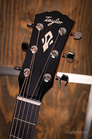 Taylor Gold Label 717e Sunburst