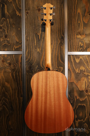 Taylor 117e Special Edition