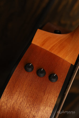 Taylor 117e Special Edition