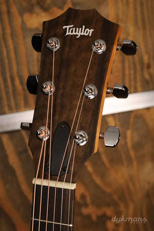 Taylor 117e Special Edition