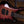 Music Man Majesty 6 Premium Select Strawberry Moon