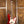 Squier Paranormal Baritone Jazzmaster Seafoam Green