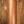 Novo Serus J Shell Pink over '64 3TB Dealer Limited