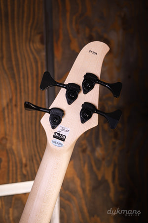 Dingwall D-Roc 4-string Ducati Matte Celestial Blue