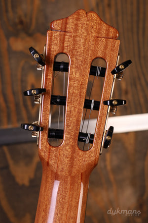 Bautista Iranzo 40 Concert