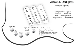 Dingwall Custom Shop Z3X-5 Buckeye Burl Black to Pink Reverse Burst