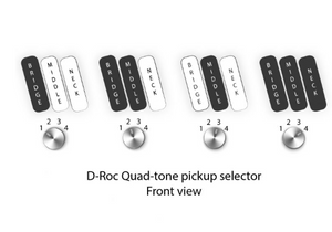 Dingwall Rob VDL Signature D-Roc Custom Titanium