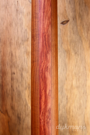 Ibanez ICHI10 Vintage White Matte