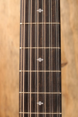 Taylor 250ce-BLK DLX B-stock